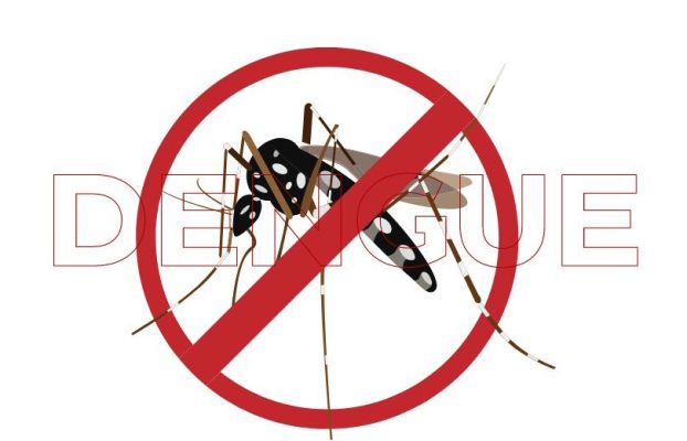 5 Dicas Criativas para Prevenir a Dengue